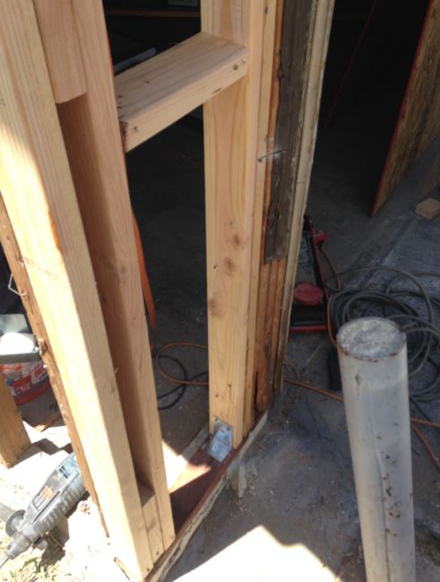 Dry Rot