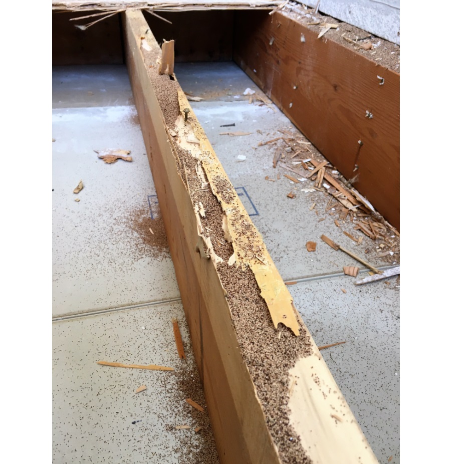 Insurance Repair 104