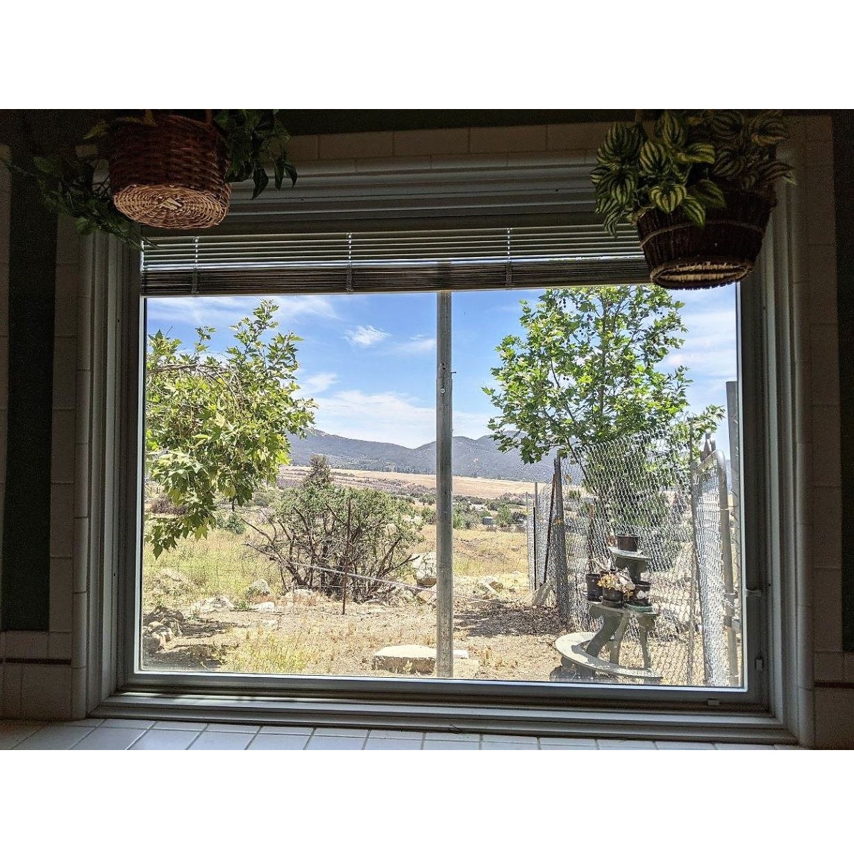 Window 201
