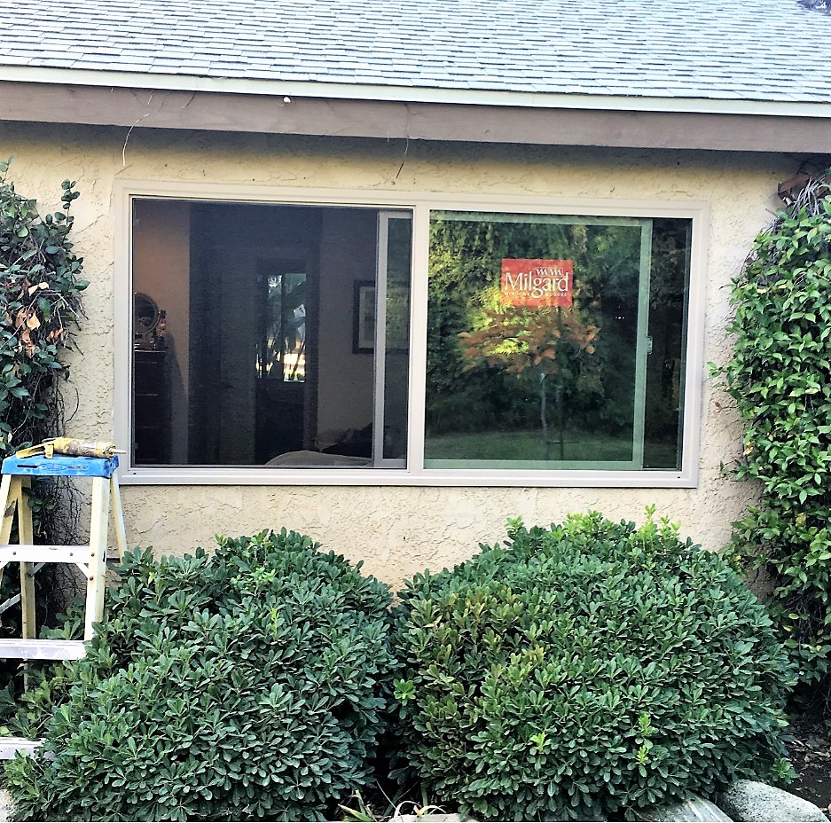 Window 501