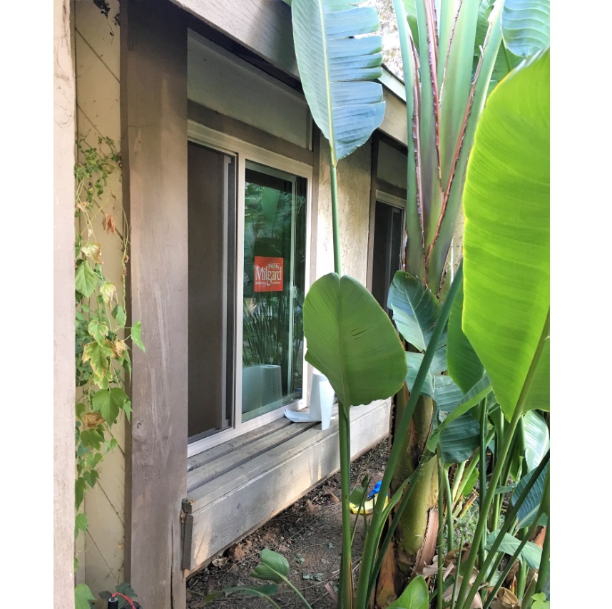 Window 601